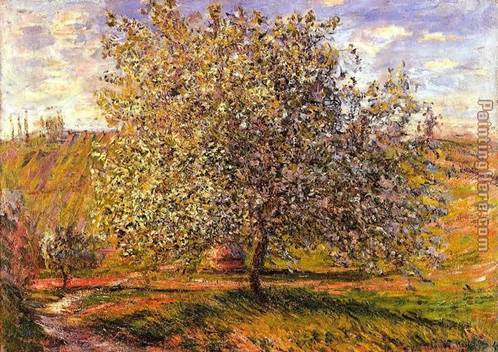 Tree in Flower near Vetheuil painting - Claude Monet Tree in Flower near Vetheuil art painting
